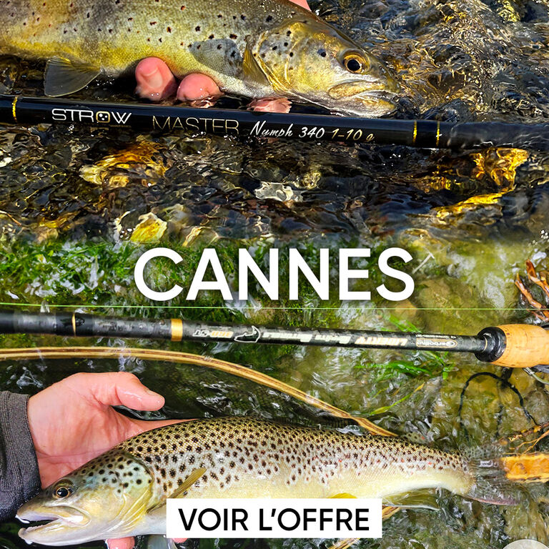 cannes truite